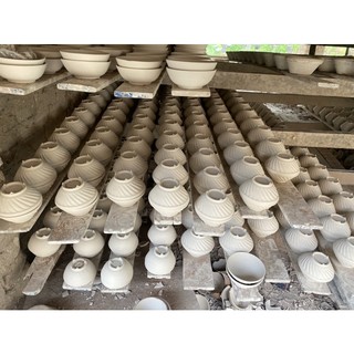 Combo 10 Chén Ăn Phếch Xanh < Ảnh Shop Tự Quay Và Chụp >
