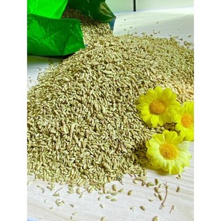 100gr Trà hoa hoè xanh mới thơm uống trà hỗ trợ mất ngủ