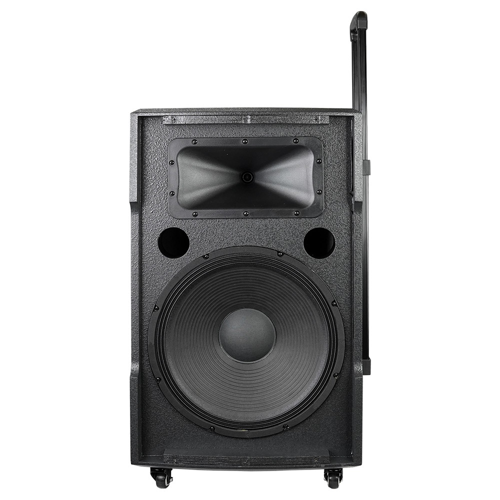 Loa karaoke Dalton TS-15G700X công suất 700W, bass 4 tấc  - HÀNG CHÍNH HÃNG