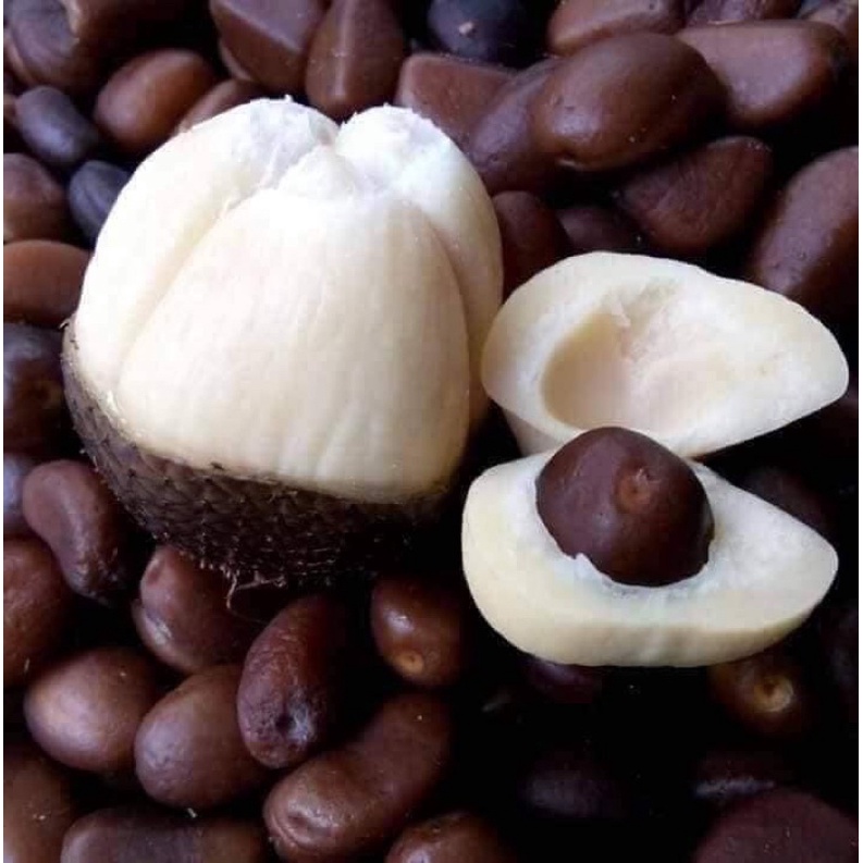 Chỉ Nhận Đơn 1 số Khách Tỉnh Trong Miền Nam 1ký Trái Mây indo ( trái mây bali . trái salak )