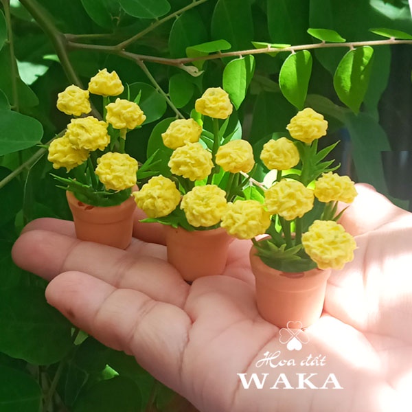 Set Tết-Mô Hình Chậu Cúc Vạn Thọ 1/12