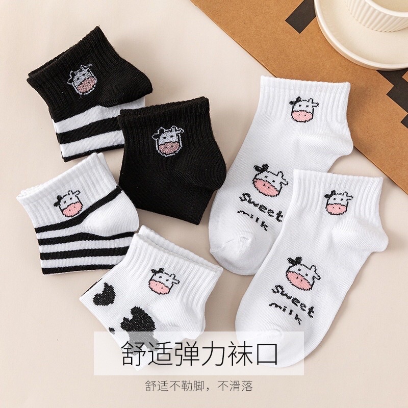 Set tất vớ siêu cute dành cho các bạn nữ nhiều hình set 5 tất