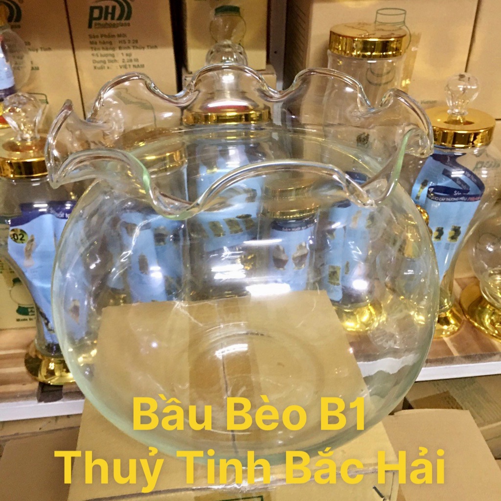 Mẫu Bầu Bèo B1 - Bầu Bèo, Thố, Chân Ly , Chậu , Bễ , Hồ Thủy Tinh Trồng Cây Thủy Sinh Và Nuôi Cá
