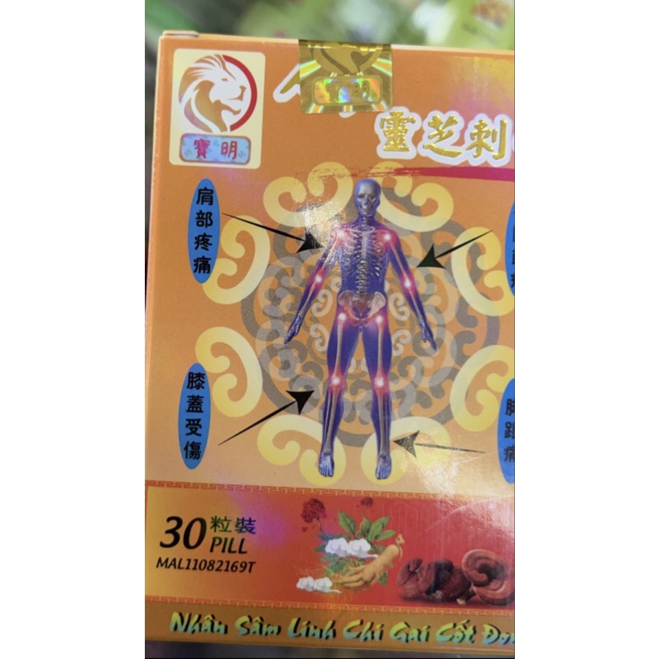 NHÂN SÂM LINH CHI GAI CỐT ĐƠN CHÍNH HÃNG