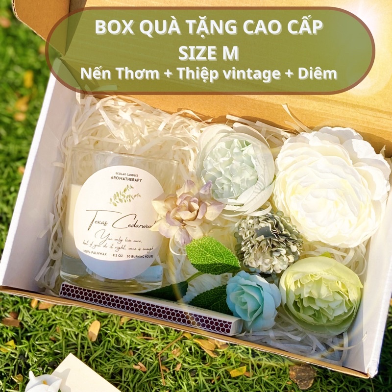 {MẪU MỚI NHẤT} Nến Thơm Phòng Tinh Dầu Sáp Cọ Cao Cấp Ecolax, BST mới nhất 2022
