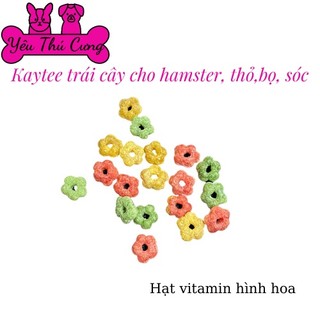 Hạt trái cây kaytee cho hamster, thỏ, bọ, sóc lọ 60gr- yêu thú cưng shop