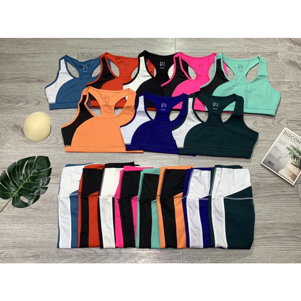 Set Bộ Tập Gym Yoga Nữ Quần Dài Áo Bra Phối Màu Kèm Mút Cao Cấp Bin Sports BD113