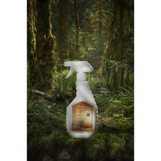 Nước rửa kính, lau kiếng hương quế trà bồng 500ml