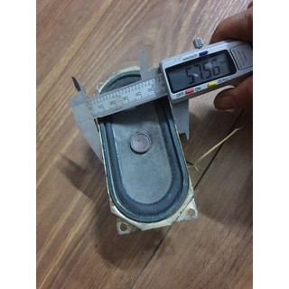 Củ loa toàn dải  Foster