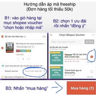Sen đá size bầu 5~7cm