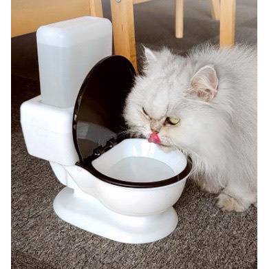 Bình uống nước tự động cho chó mèo ngộ nghĩnh