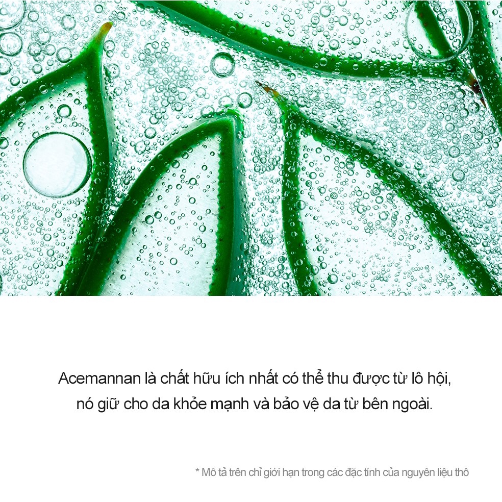 Tinh chất lô hội Derma Factory Real - Vera Pore Serum 30ml