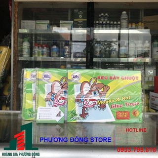 Combo 10 miếng keo dính chuột giấy