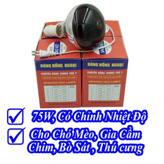 Bộ Bóng Đèn Sưởi Hồng Ngoại Có Chỉnh Nhiệt Độ Cho Chó Mèo