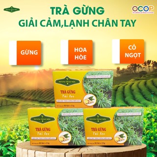 Trà Gừng Hoàng Thảo Mộc túi lọc