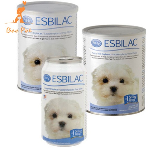 SỮA ESBILAC - SỮA CAO CẤP CHO CHÓ CON
