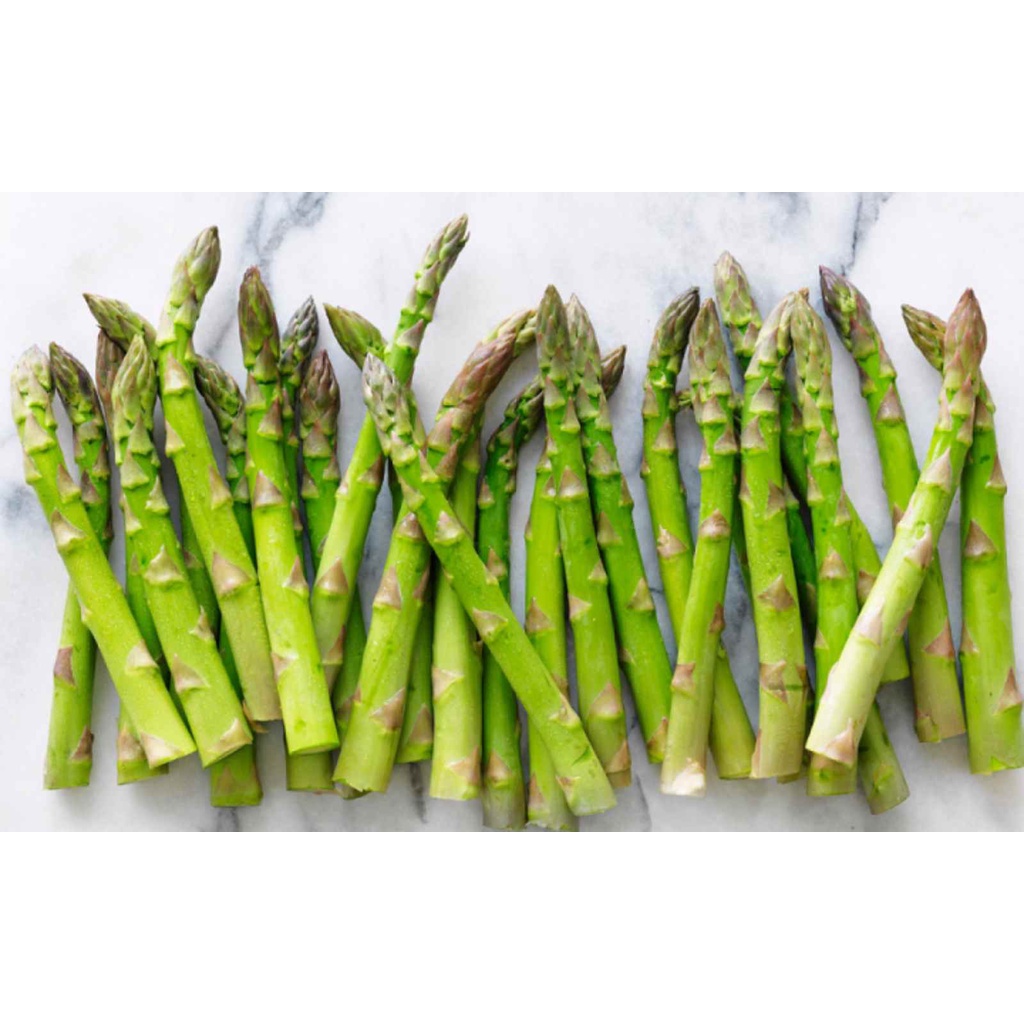 MĂNG TÂY XANH F1 TN 248 ASPARAGUS NHẬP KHẨU, CHỊU NHIỆT, NĂNG SUẤT CAO - SHOP HẠT GIỐNG ECOHOME 5.0 - 29