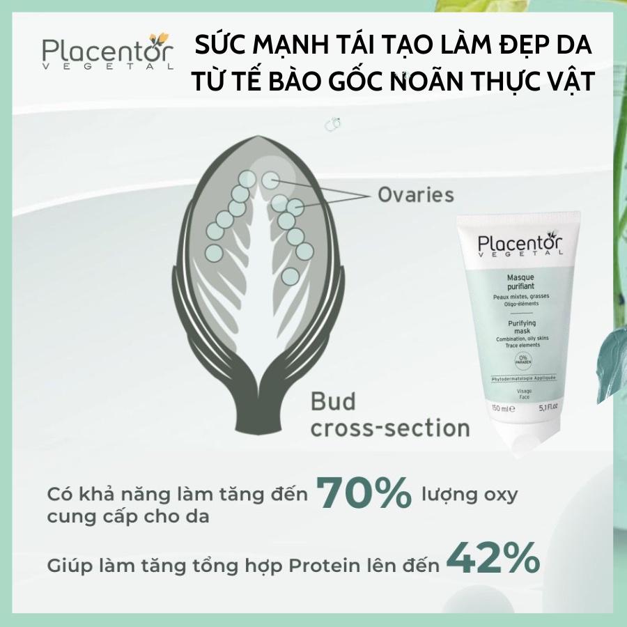 Mặt nạ đất sét xanh Placentor Purifying Mask 150ml