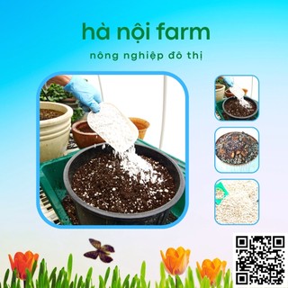 Đá perlite trân châu siêu nhẹ - Túi 10Lit