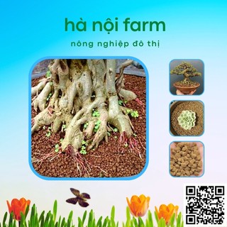 Đất núi lửa AKADAMA Nhật bản - 1kg