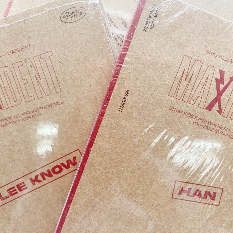 | STRAYKIDS | MAXIDENT - hộp đồ chơi sưu tầm nghệ thuật của 8 thành viên