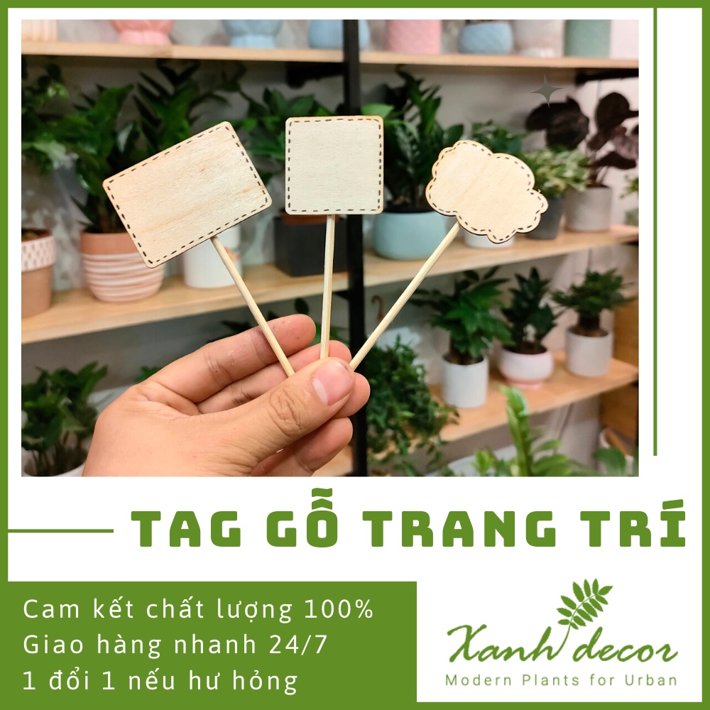 Combo tag gỗ trang trí cắm chậu cây để bàn