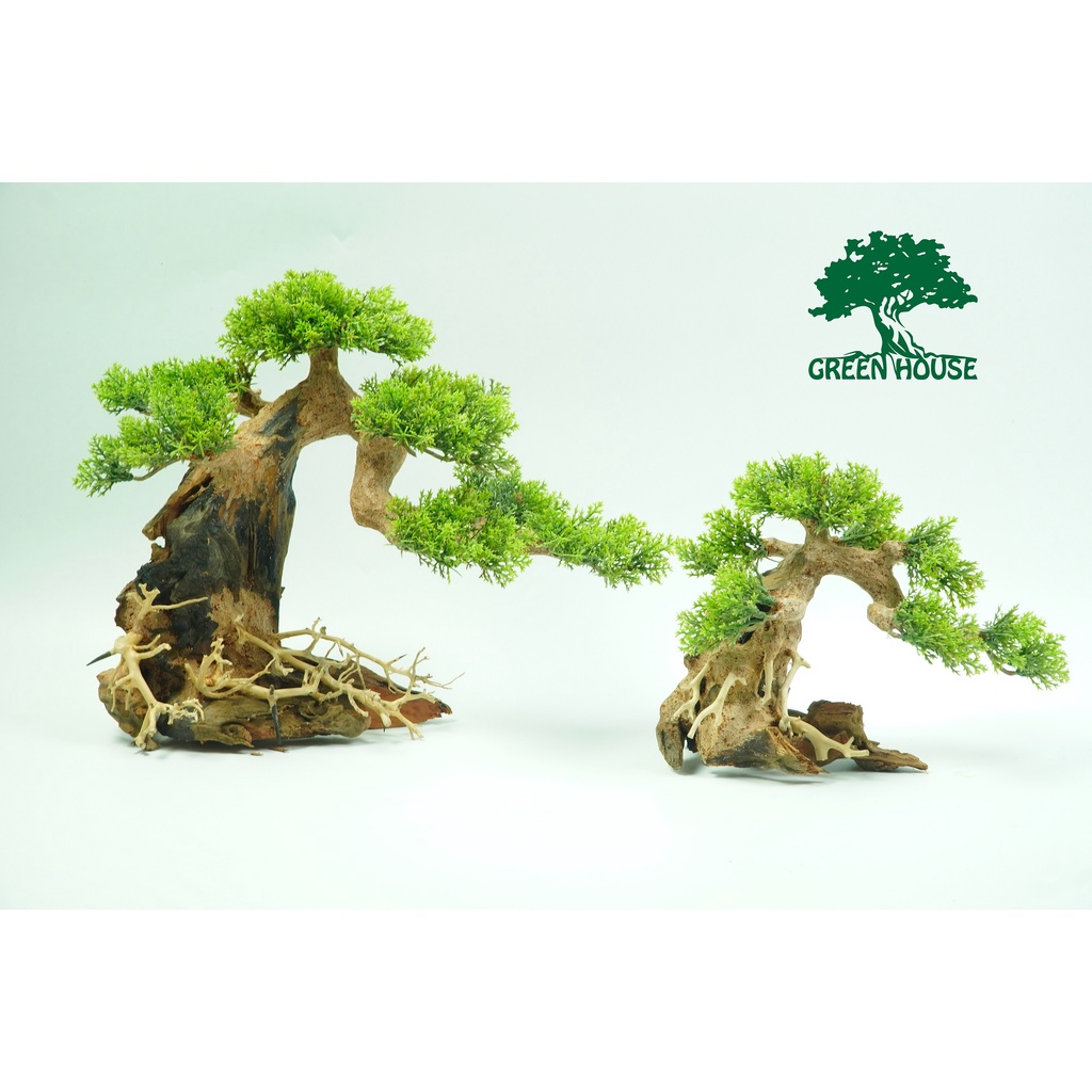 Lũa Bonsai, Lũa thủy sinh dùng trang trí hồ cá cảnh, hồ thủy sinh, văn phòng, nhà cửa (PLASTIC/17)