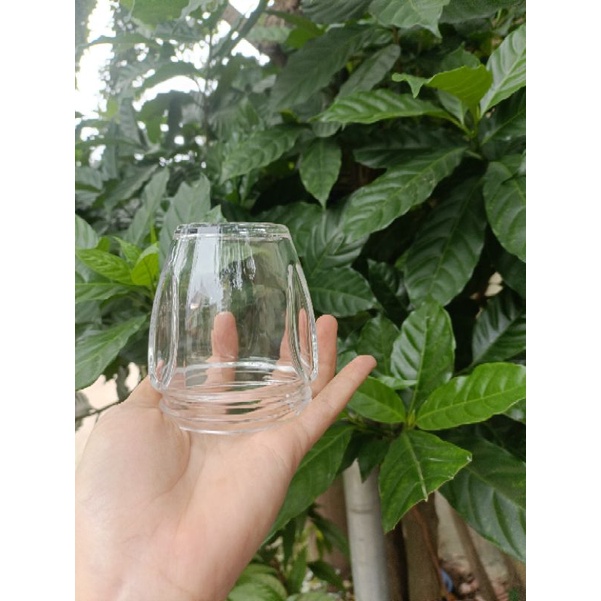 Cối thủy tinh, lưỡi dao thay thế máy xay 3 cối nội địa trung