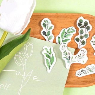 Hộp 45 hình dán sticker lá cây