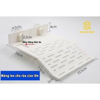 Máng Leo Dành Cho Rùa Nước