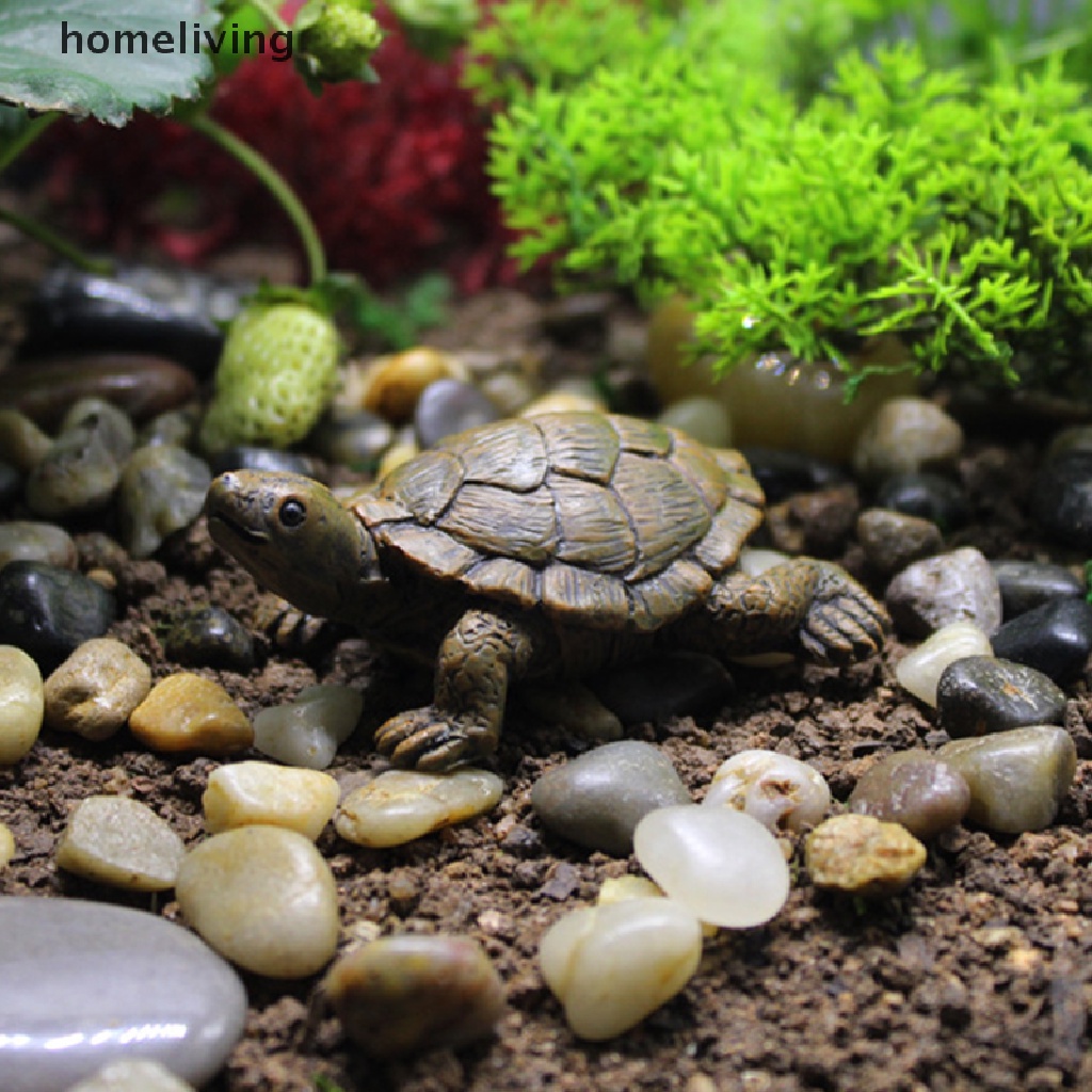 Mô Hình Rùa Bằng Nhựa resin Trang Trí Tiểu Cảnh