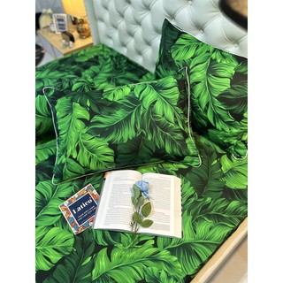BỘ DRAP THUN SIÊU LẠNH LỤA LATICO THÁI LAN CAO CẤP MỚI (ÔM KHOÁ KÉO)