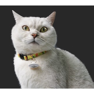 Tag phân biệt mèo CATLINK x2