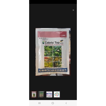 Thuốc trừ bệnh CABRIO TOP 600WG 100G