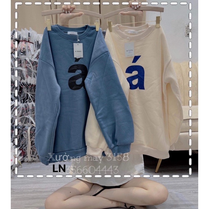 Áo nỉ bo cotton Á LN12