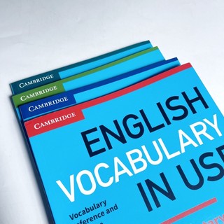 [Nhập Khẩu] Vocabulary In Use 4c