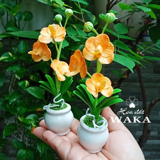 Hoa Đất Sét Mini- Lan Vanda 12cm