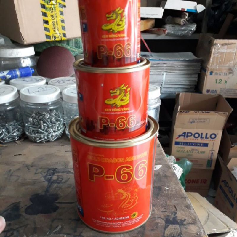 Keo rồng vàng P-66