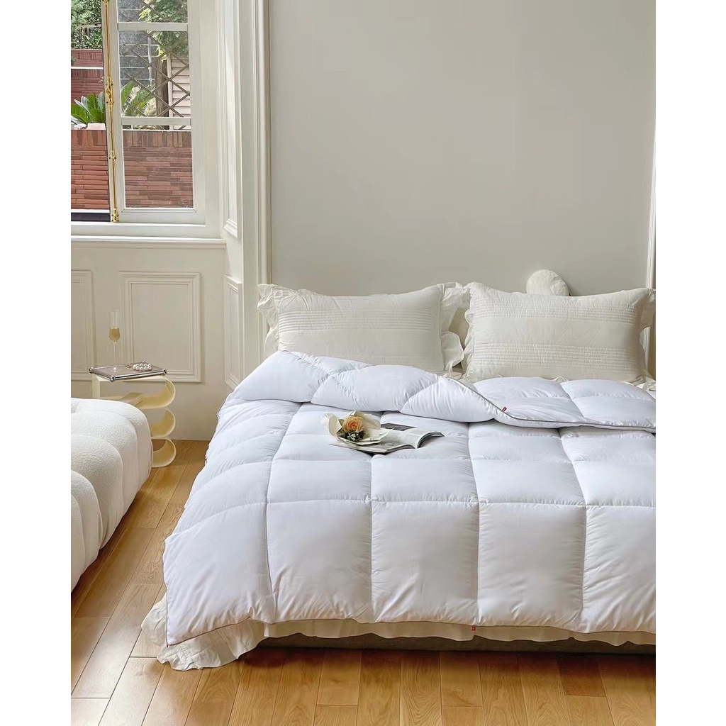 Ruột chăn lông vũ Gabel cao cấp 2mx2m3 100% sợi lông vũ kháng khuẩn Dreamhome