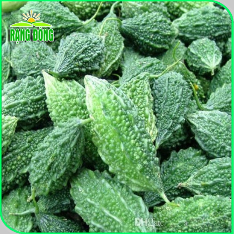 Hạt giống Mướp ngọt - Mướp đắng (khổ qua) trồng quanh năm, Hạt giống rau củ quả trồng chậu - Hạt giống Rạng Đông