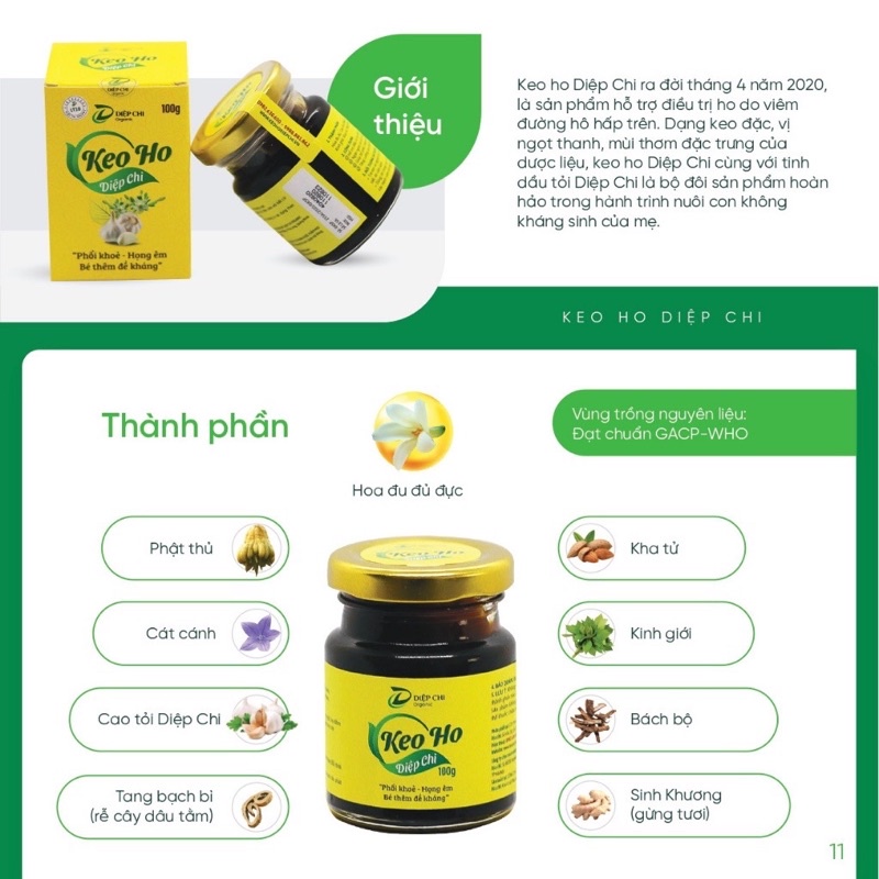 Dầu tỏi diệp chi gold + tăng đề kháng - hết ho, xổ mũi