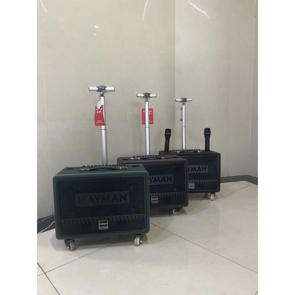 Loa kéo di động Karaoke Hayman X8-6 , 600W,2 loa trung, 2 loa treblle, pin 6 den 10h
