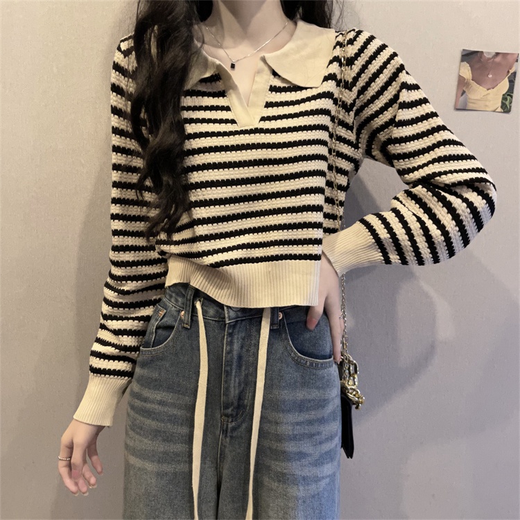 Áo Sweater Dệt Kim Tay Dài Cổ Tròn Cho Nữ