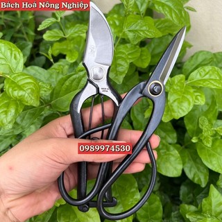 Combo kéo cắt cành + kéo tỉa lá, tỉa dăm thép đúc nguyên khối, chuyên dụng cắt tỉa bonsai, cây cảnh