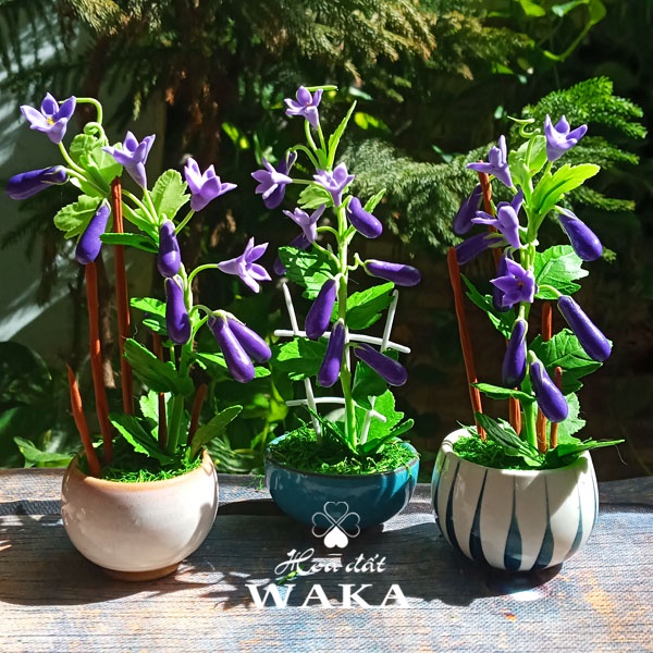 Hoa Đất Sét Mini- Cà Tím