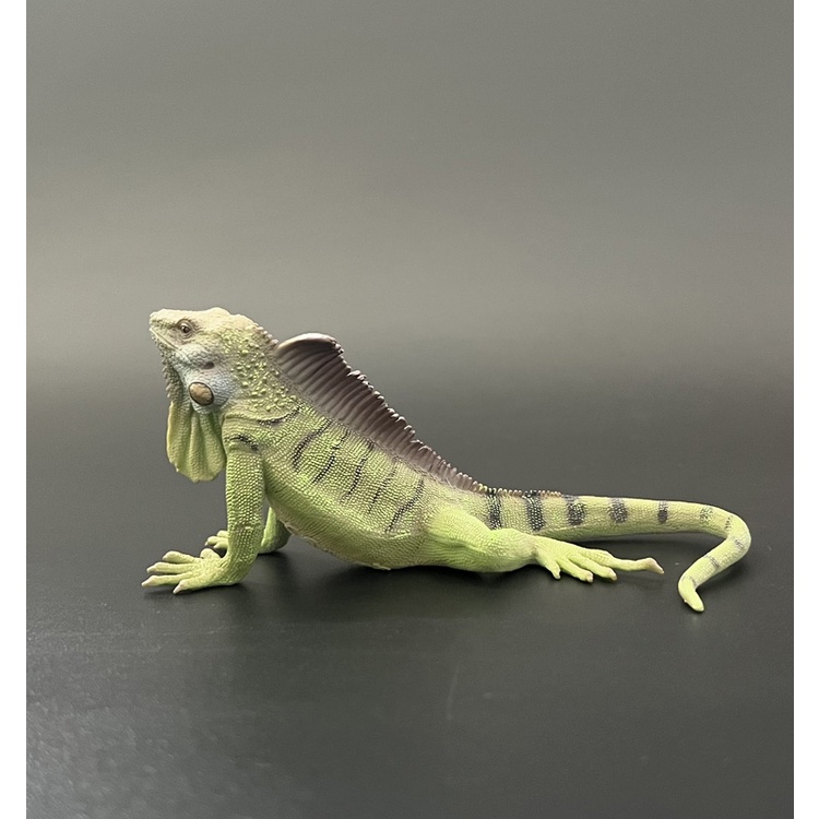 Mô Hình Đồ Chơi Động Vật Mô Phỏng iguana 2022 88965