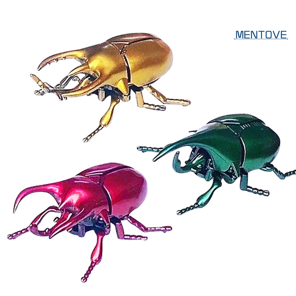 Mô Hình Bọ Cánh Cứng Đồ Chơi Cho Bé