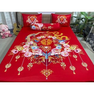 Bộ drap ga thun ý 5D (m6*2m nệm dưới 15cm) không mền