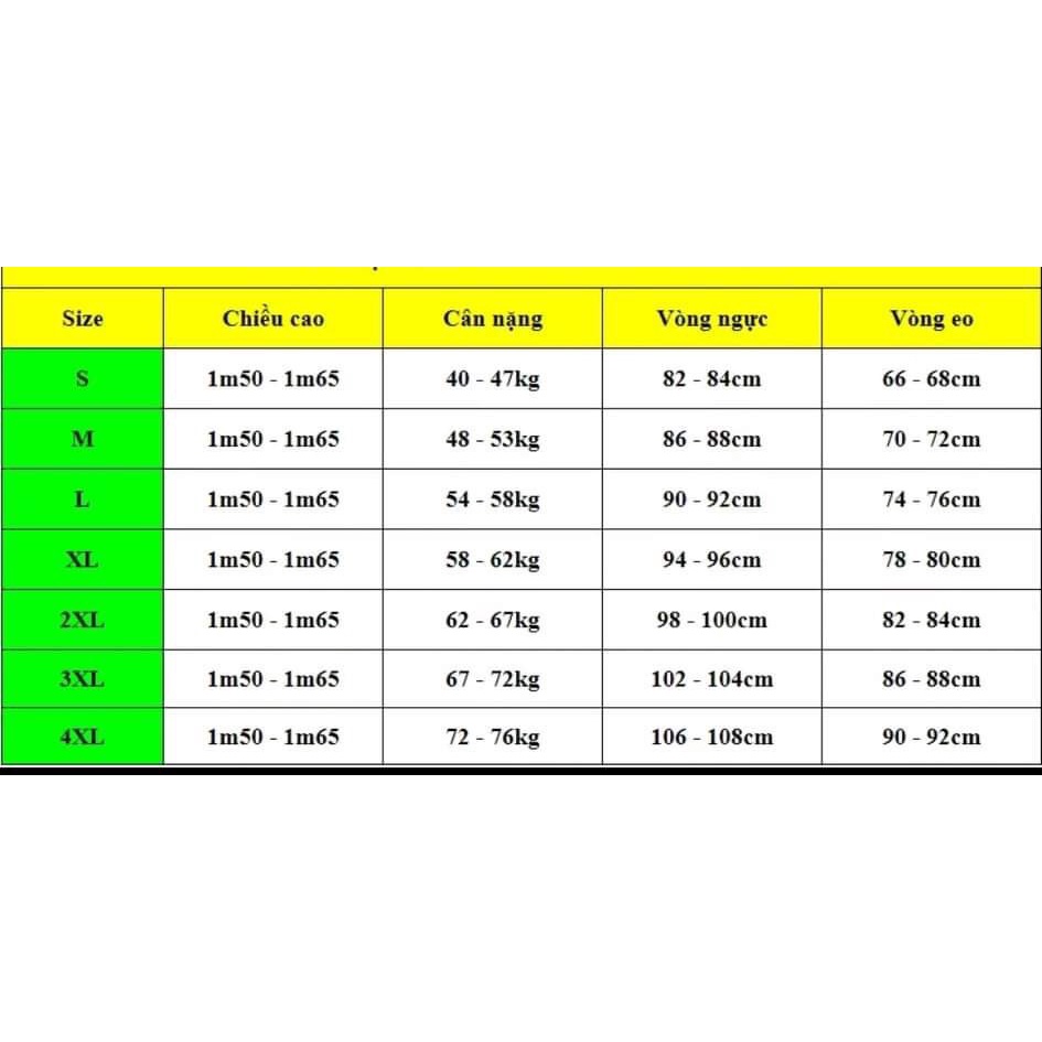SALE Áo dài cách tân 4 tà ,ảnh chụp thật