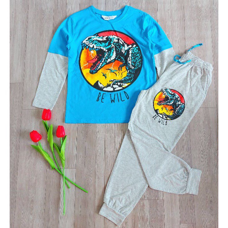 Bộ Dài Tay Thu Đông HM Bé Trai Size Đại Cotton Xuất Dư sz 24 - 58kg